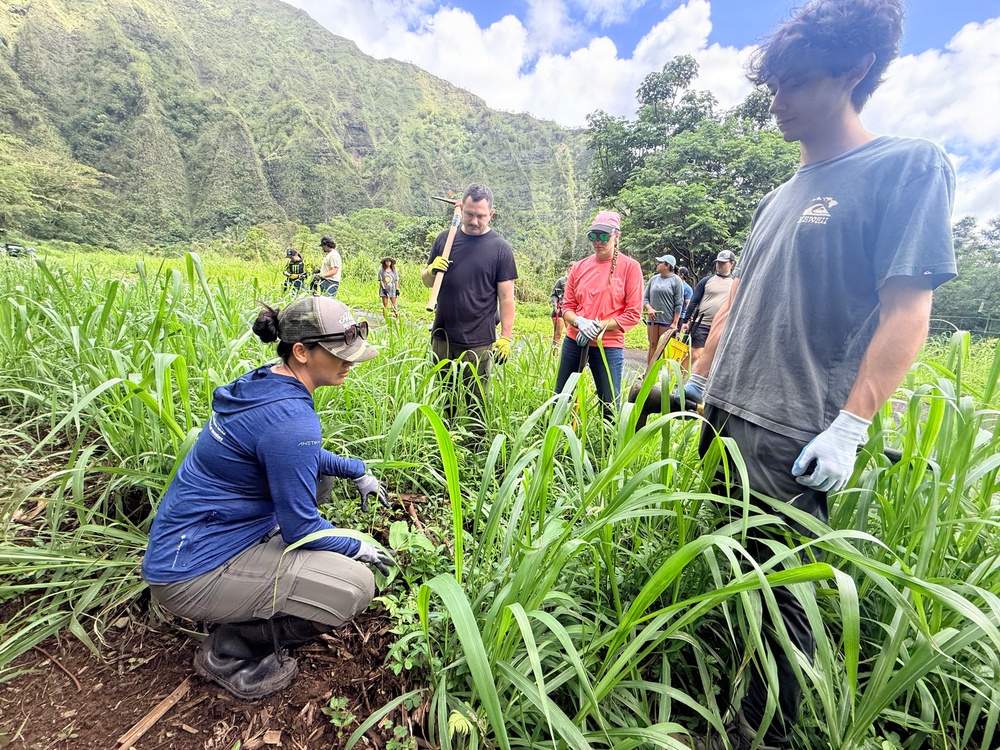 Laulima Navy Volunteers Restore Haiku Valley Through Community Service