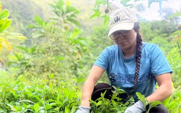 Laulima Navy Volunteers Restore Haiku Valley Through Community Service