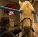 Mounted Color Guard Veterinarian Visit