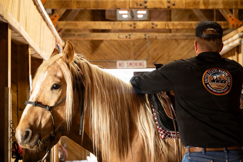 Mounted Color Guard Operations
