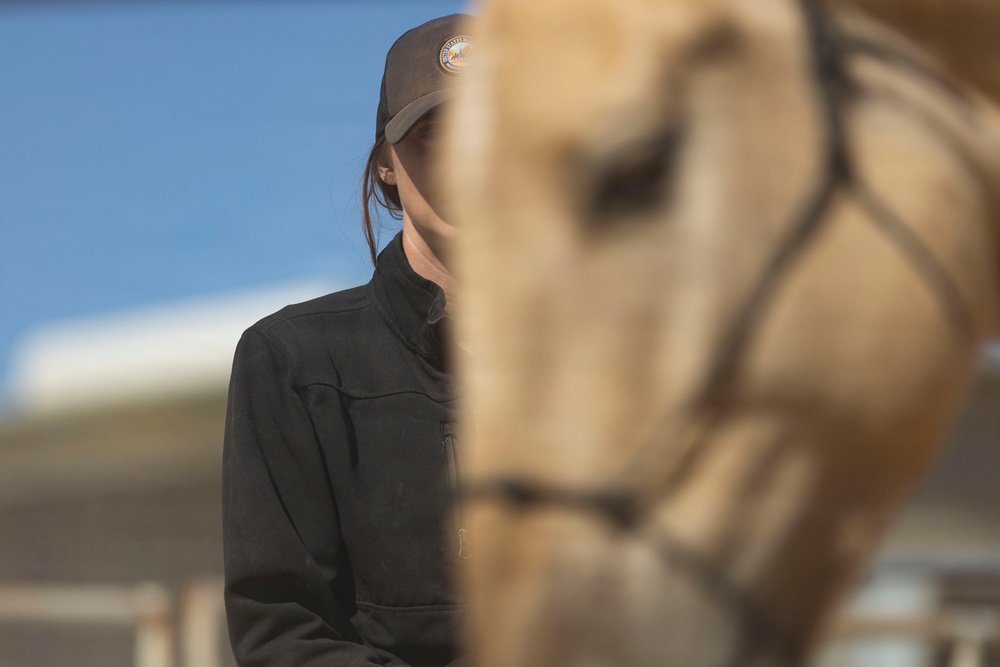 Mounted Color Guard Operations