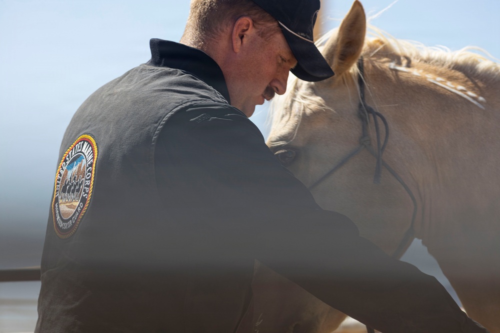 Mounted Color Guard Operations