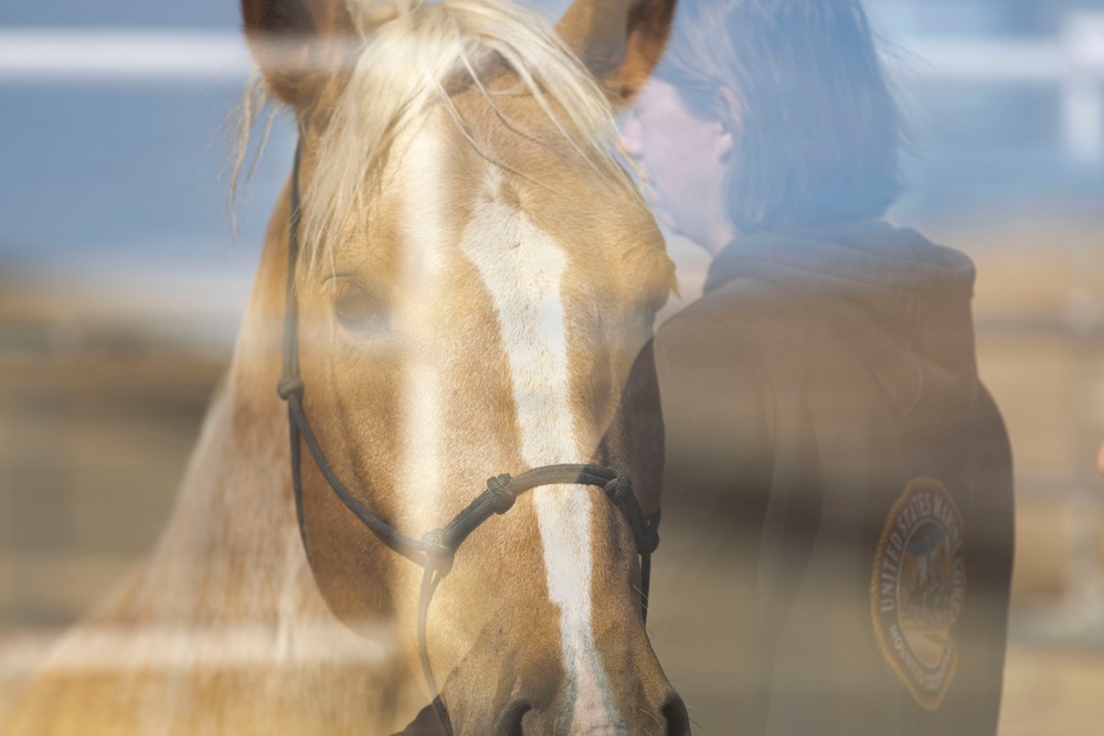 Mounted Color Guard Operations