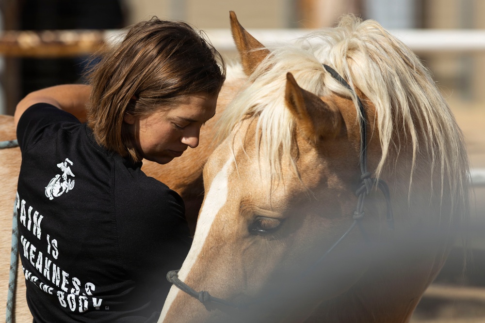 Mounted Color Guard Operations
