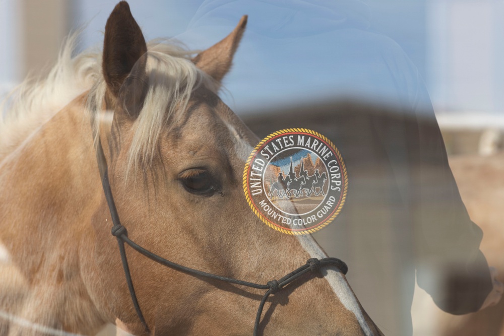 Mounted Color Guard Operations