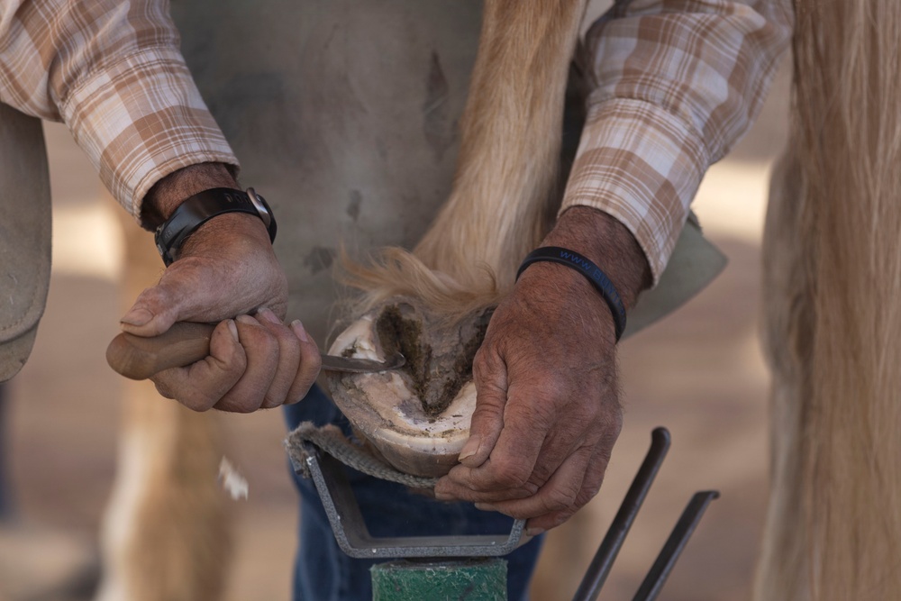 Mounted Color Guard Operations