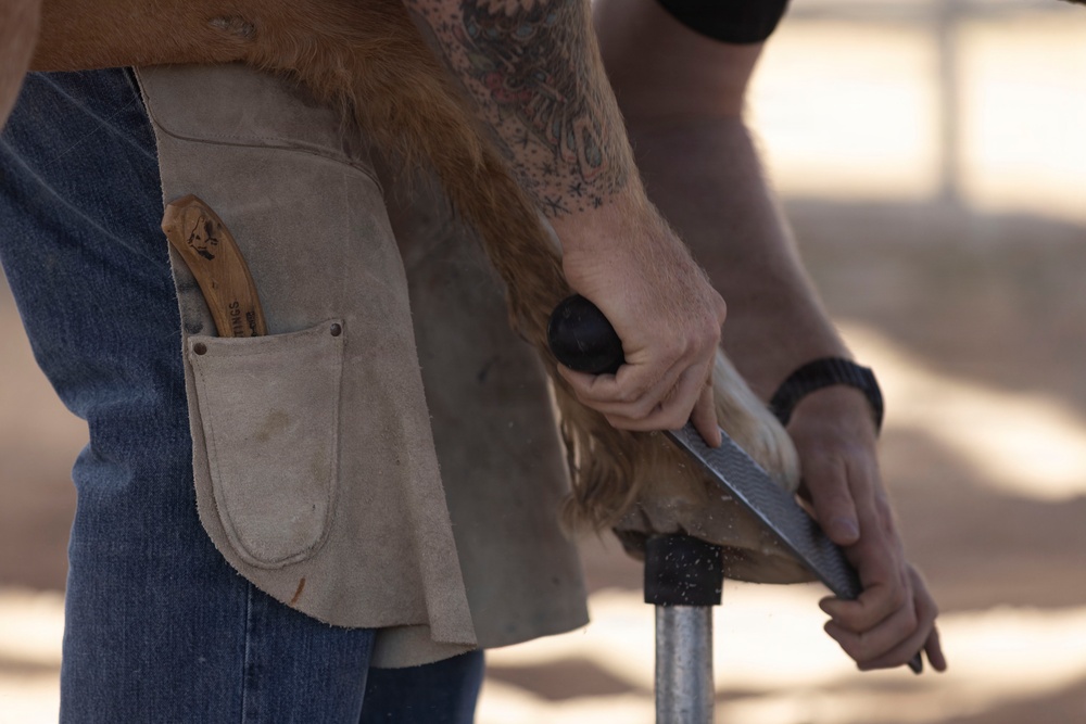 Mounted Color Guard Operations