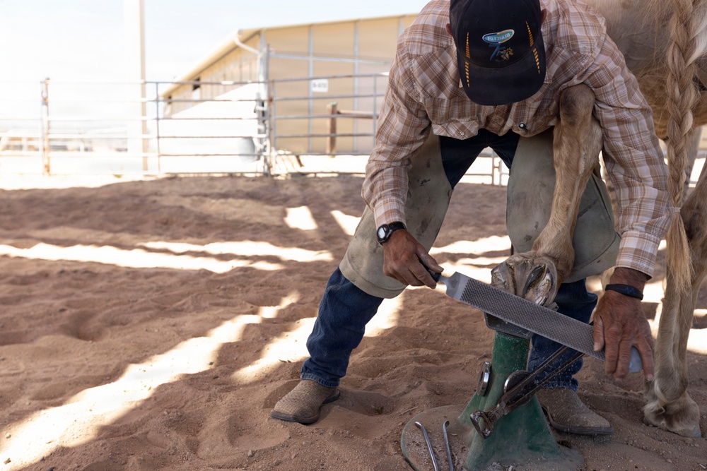 Mounted Color Guard Operations