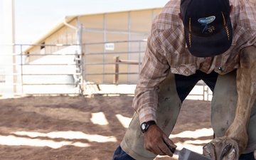 Mounted Color Guard Operations
