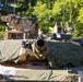 Combined Resolve 26-07