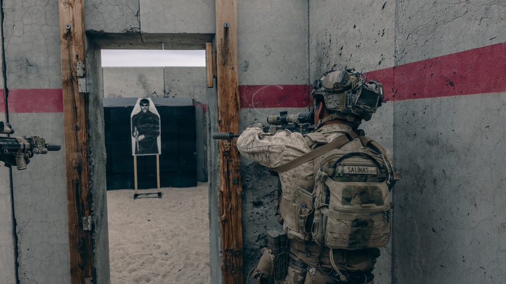 SLTE 2-26: Charlie Company, 1st Battalion, 2nd Marine Regiment Conducts Range 111