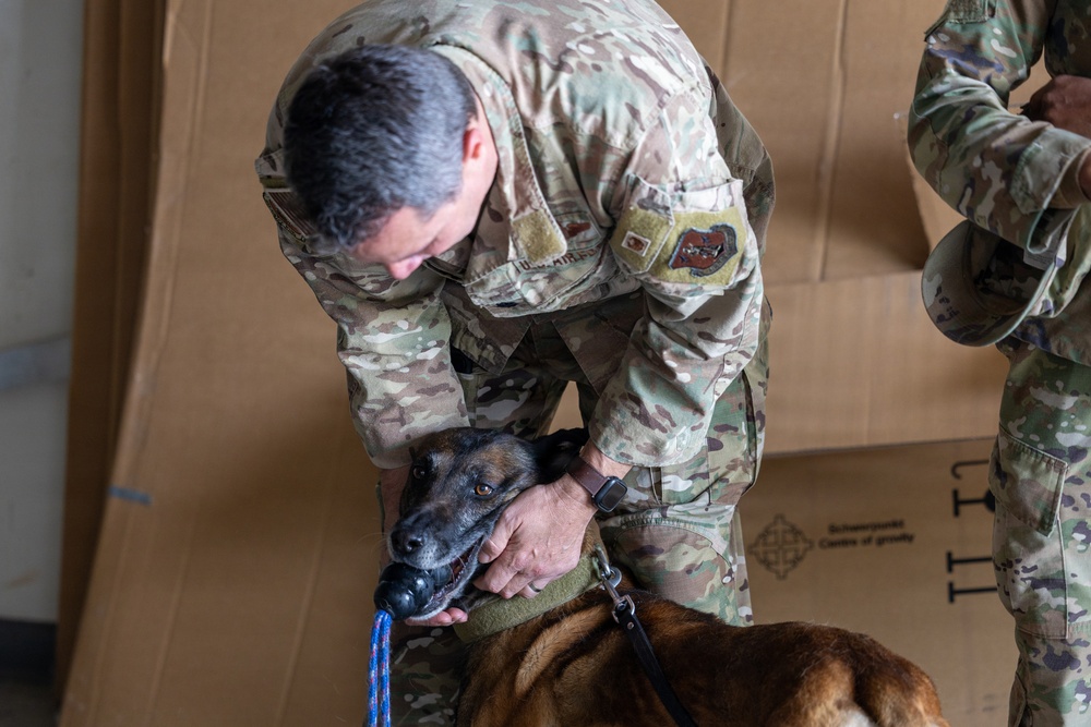 145th Airlift Wing hosts training for local law enforcement K-9 units