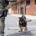 145th Airlift Wing hosts training for local law enforcement K-9 units