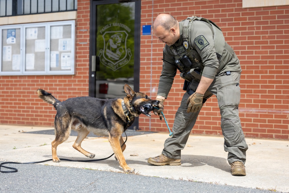 145th Airlift Wing hosts training for local law enforcement K-9 units