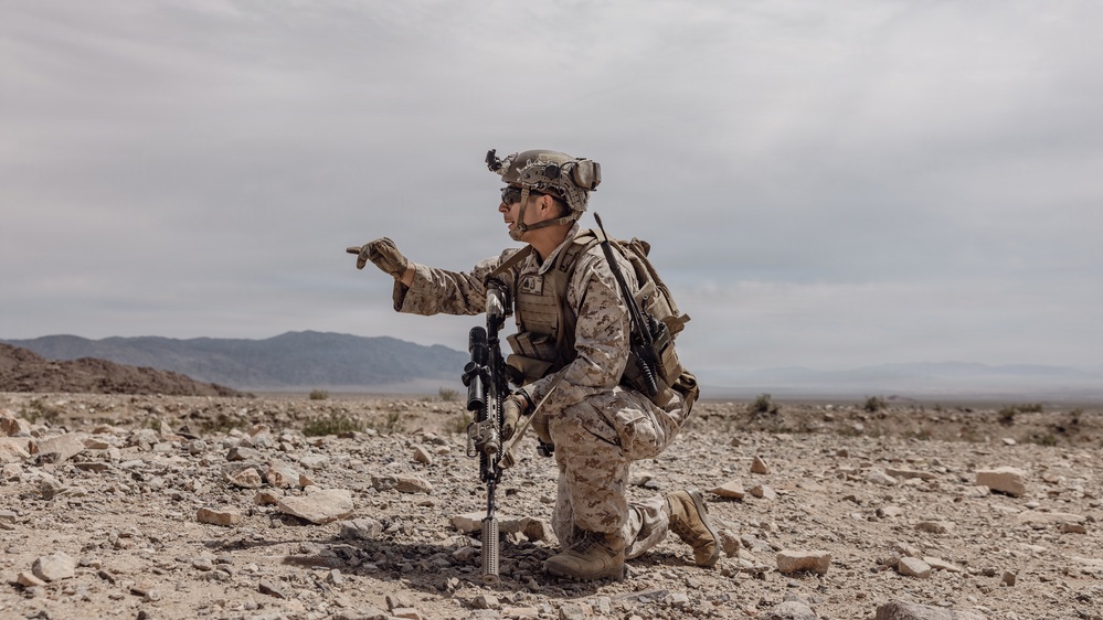 SLTE 2-26: Alpha Company 1st Battalion, 2nd Marine Regiment range 410 Alpha platoon attack