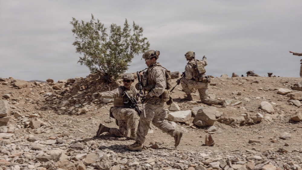 SLTE 2-26: Alpha Company 1st Battalion, 2nd Marine Regiment range 410 Alpha platoon attack