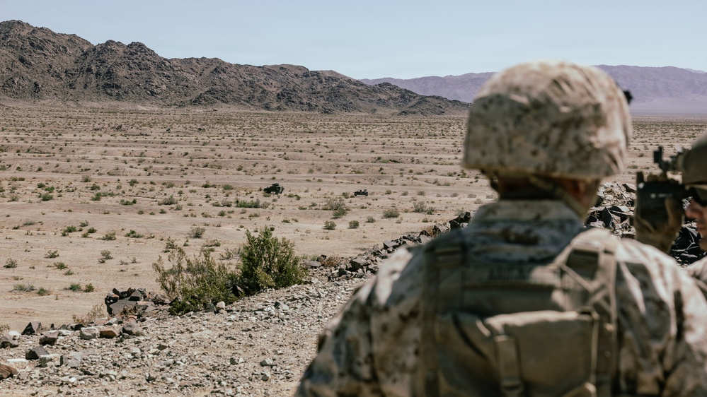 SLTE 2-26: Charlie Company, V1/2 Conducts Range 205