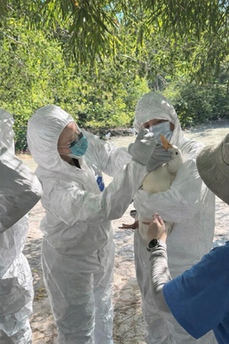 WRAIR-AFRIMS provides zoonotic disease training in Pacific Friendship ‘25