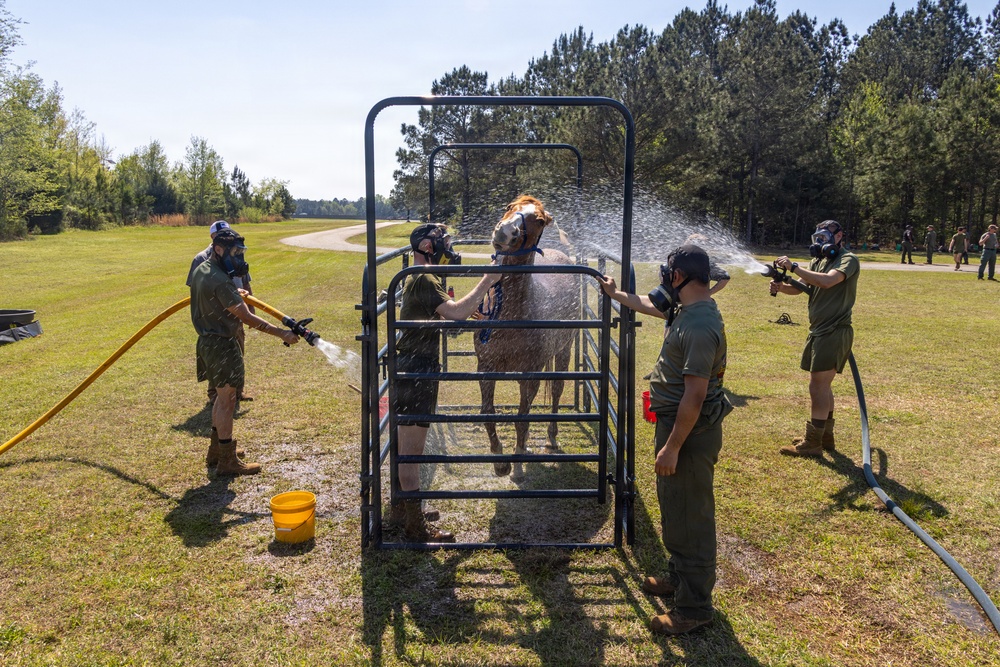 CBIRF Marines Participate in Animal Decontamination Training