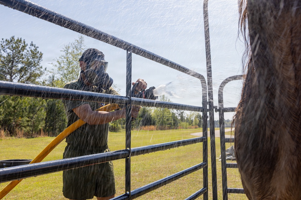 CBIRF Marines Participate in Animal Decontamination Training