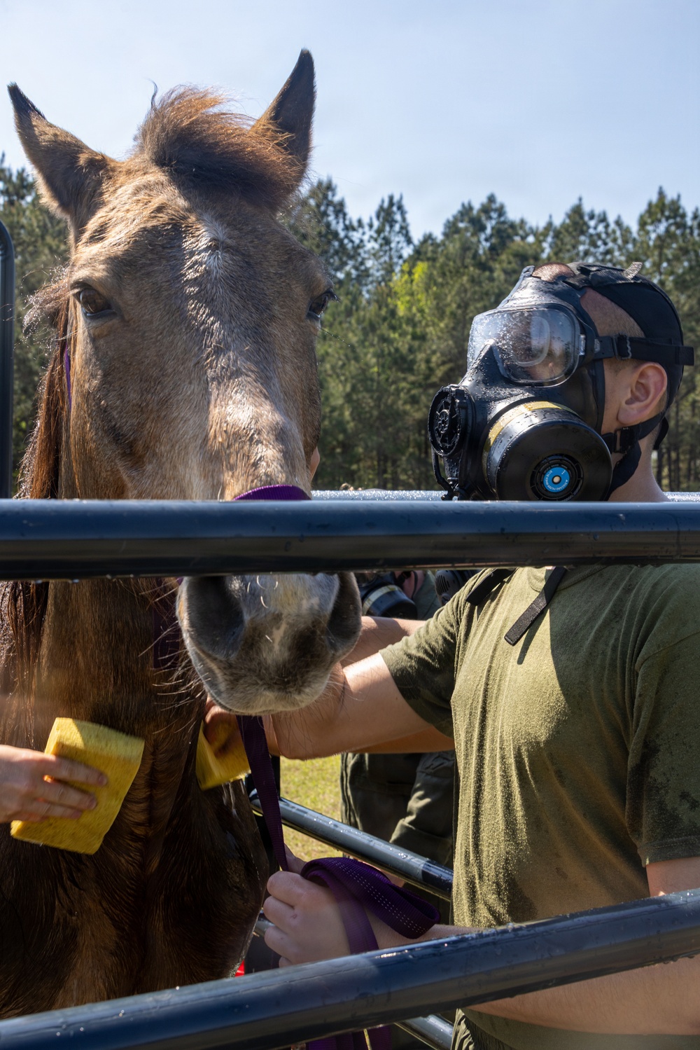 CBIRF Marines Participate in Animal Decontamination Training