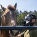CBIRF Marines Participate in Animal Decontamination Training