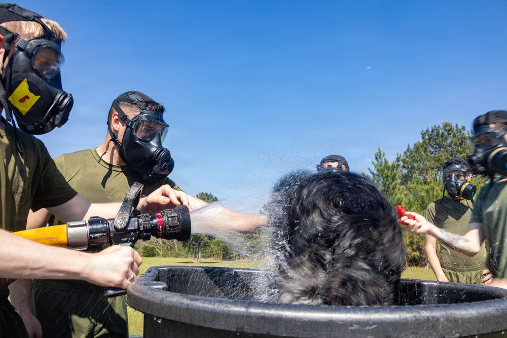 CBIRF Marines Participate in Animal Decontamination Training