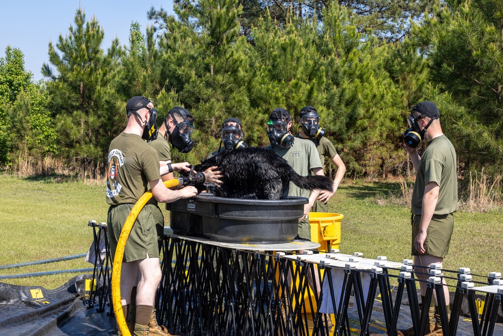 CBIRF Marines Participate in Animal Decontamination Training