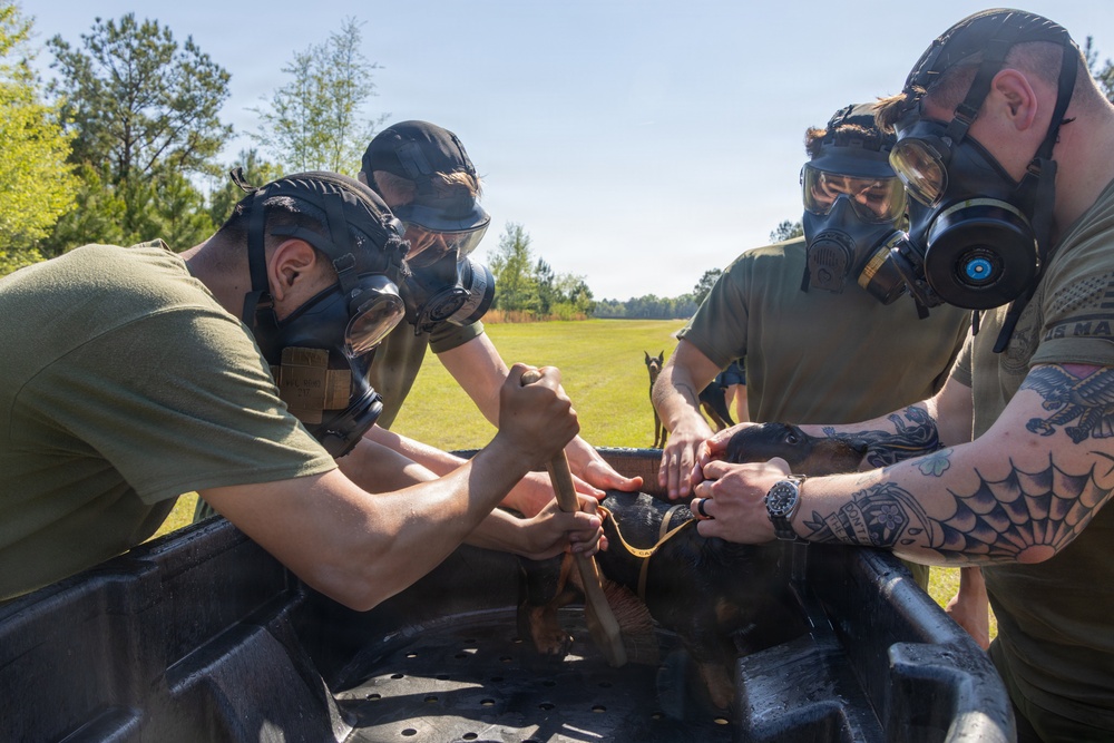 CBIRF Marines Participate in Animal Decontamination Training