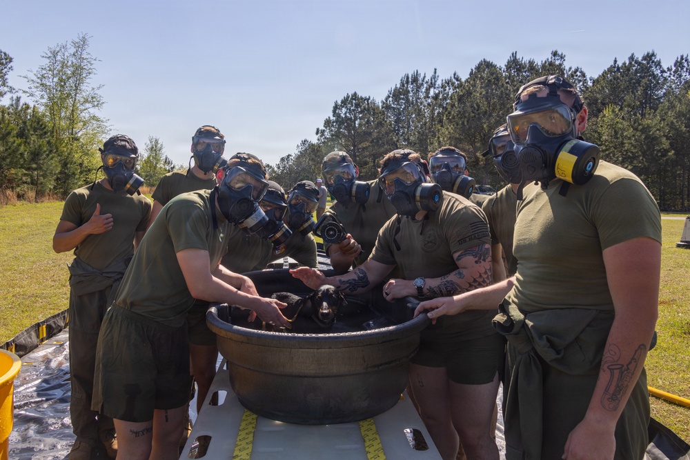 CBIRF Marines Participate in Animal Decontamination Training