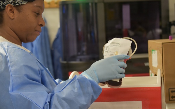 The Hidden Heroes of Patient Diagnosis at WAMC