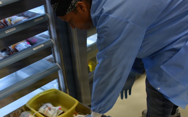 The Hidden Heroes of Patient Diagnosis at WAMC