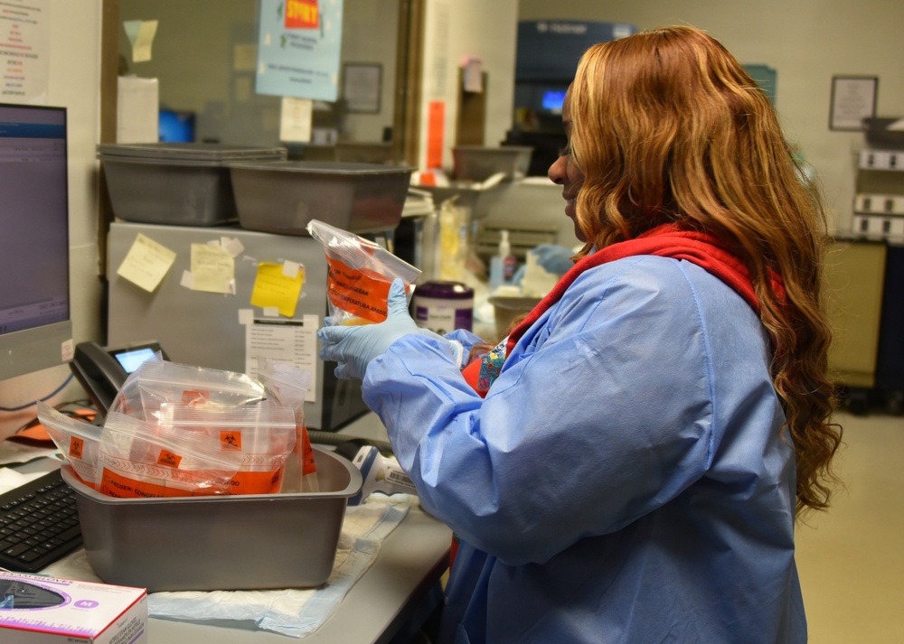 The Hidden Heroes of Patient Diagnosis at WAMC