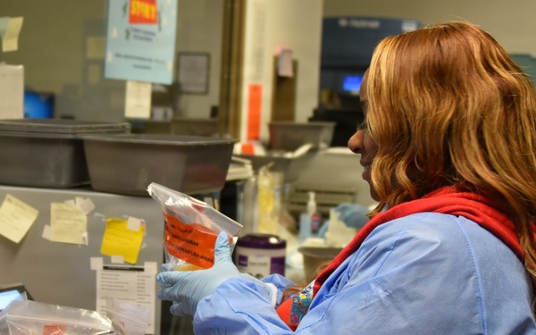 The Hidden Heroes of Patient Diagnosis at WAMC