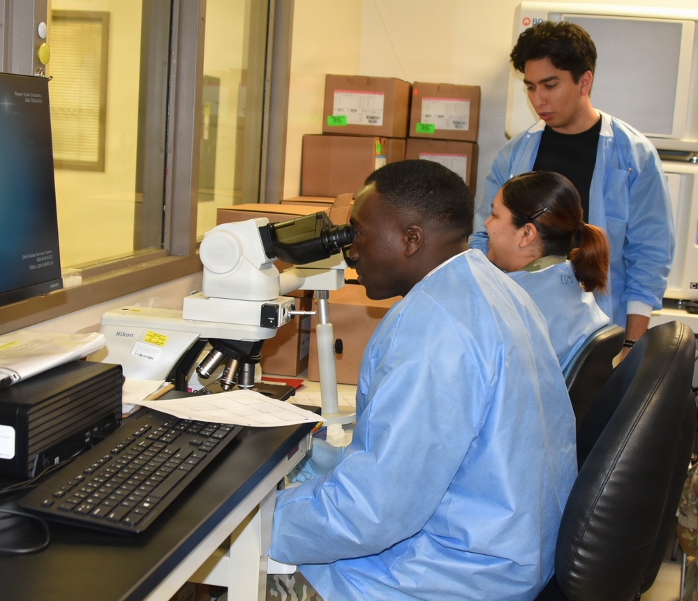 The Hidden Heroes of Patient Diagnosis at WAMC