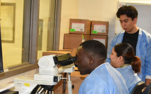 The Hidden Heroes of Patient Diagnosis at WAMC