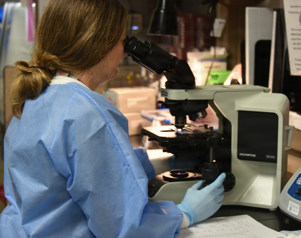 The Hidden Heroes of Patient Diagnosis at WAMC