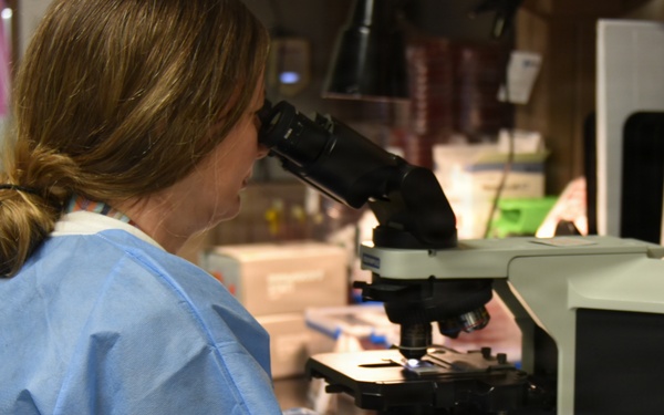 The Hidden Heroes of Patient Diagnosis at WAMC