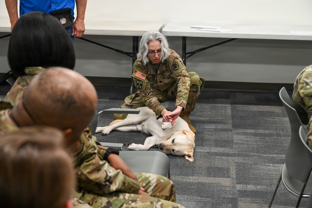 Alamo Wing Medics Train to Save Four-Legged Patients