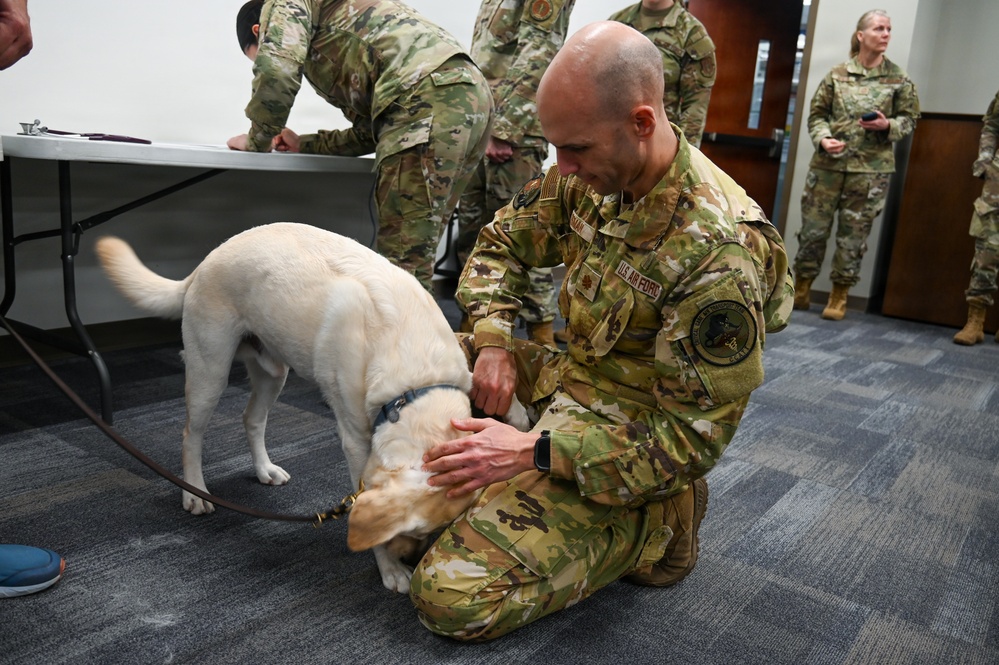 Ready to Save Every Warrior: Medics Train for Canine Care