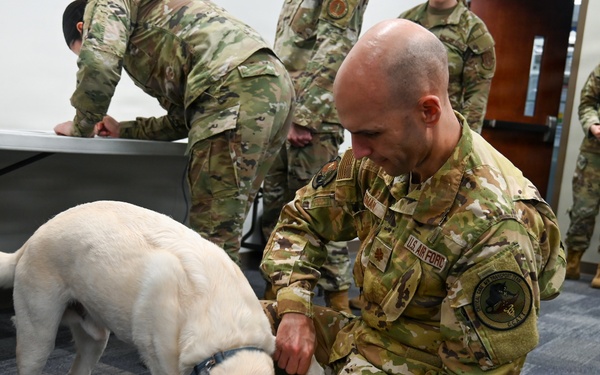 Ready to Save Every Warrior: Medics Train for Canine Care