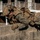 U.S. Marines Participate in Force on Force Training