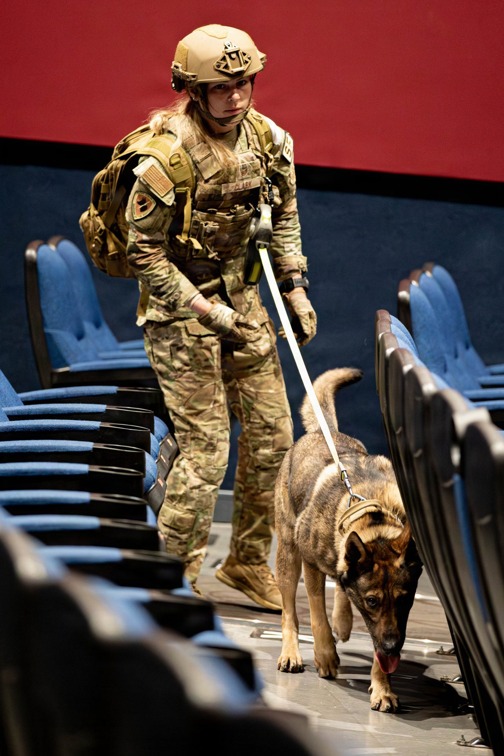 Combined Joint Military Working Dog Competition