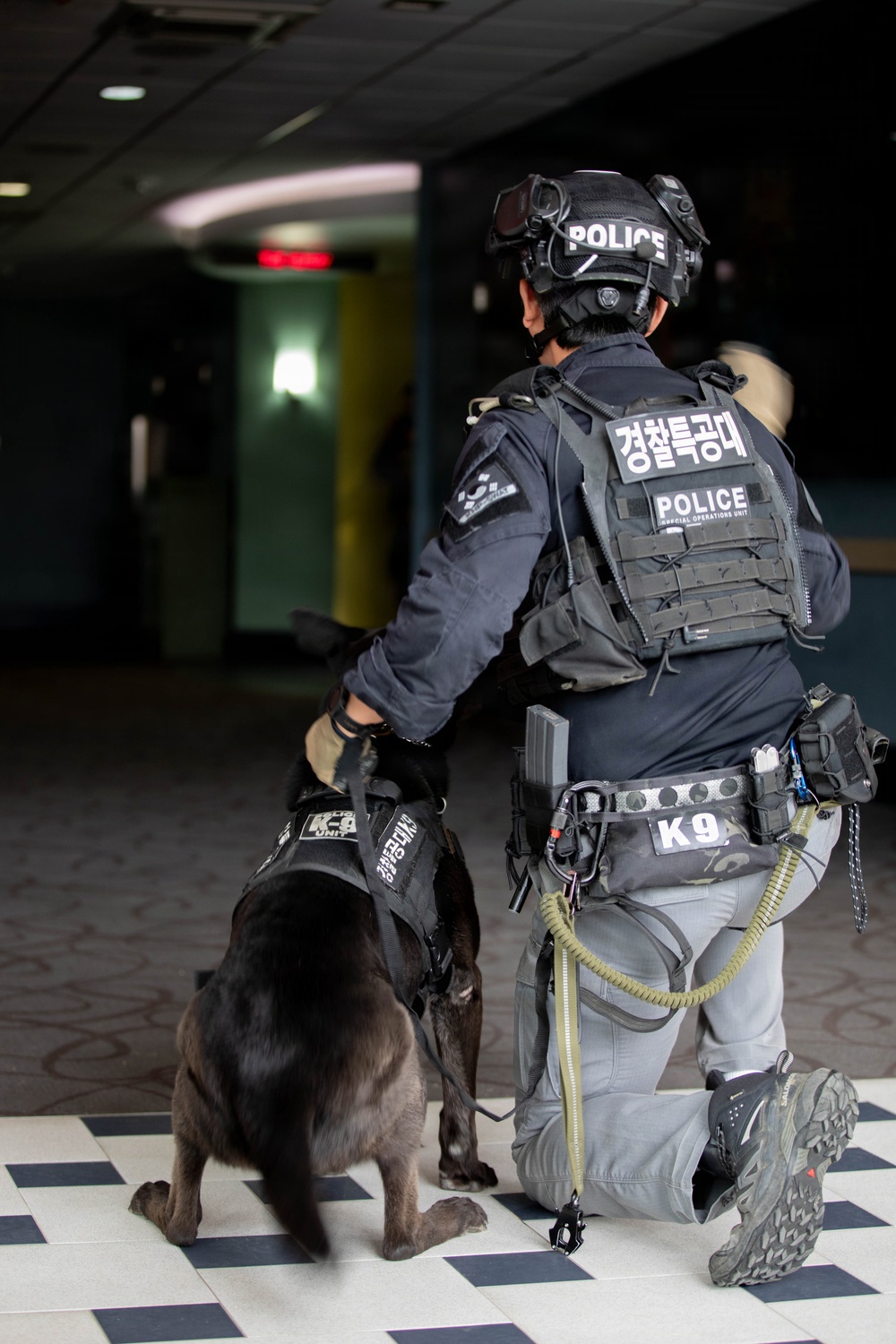Combined Joint Military Working Dog Competition