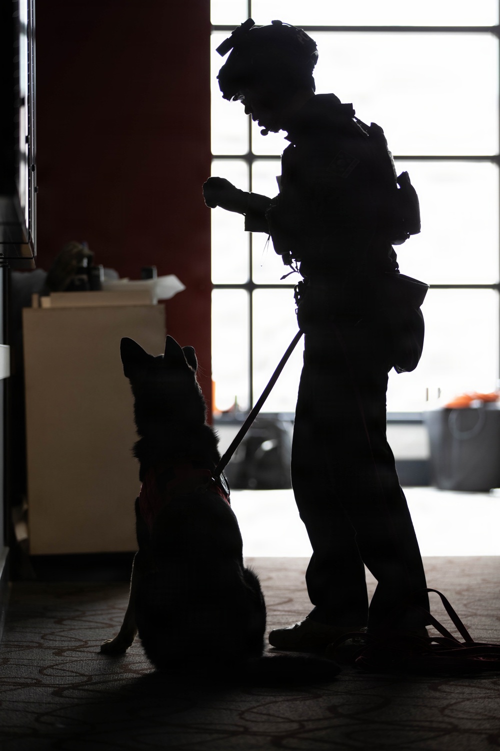 Combined Joint Military Working Dog Competition