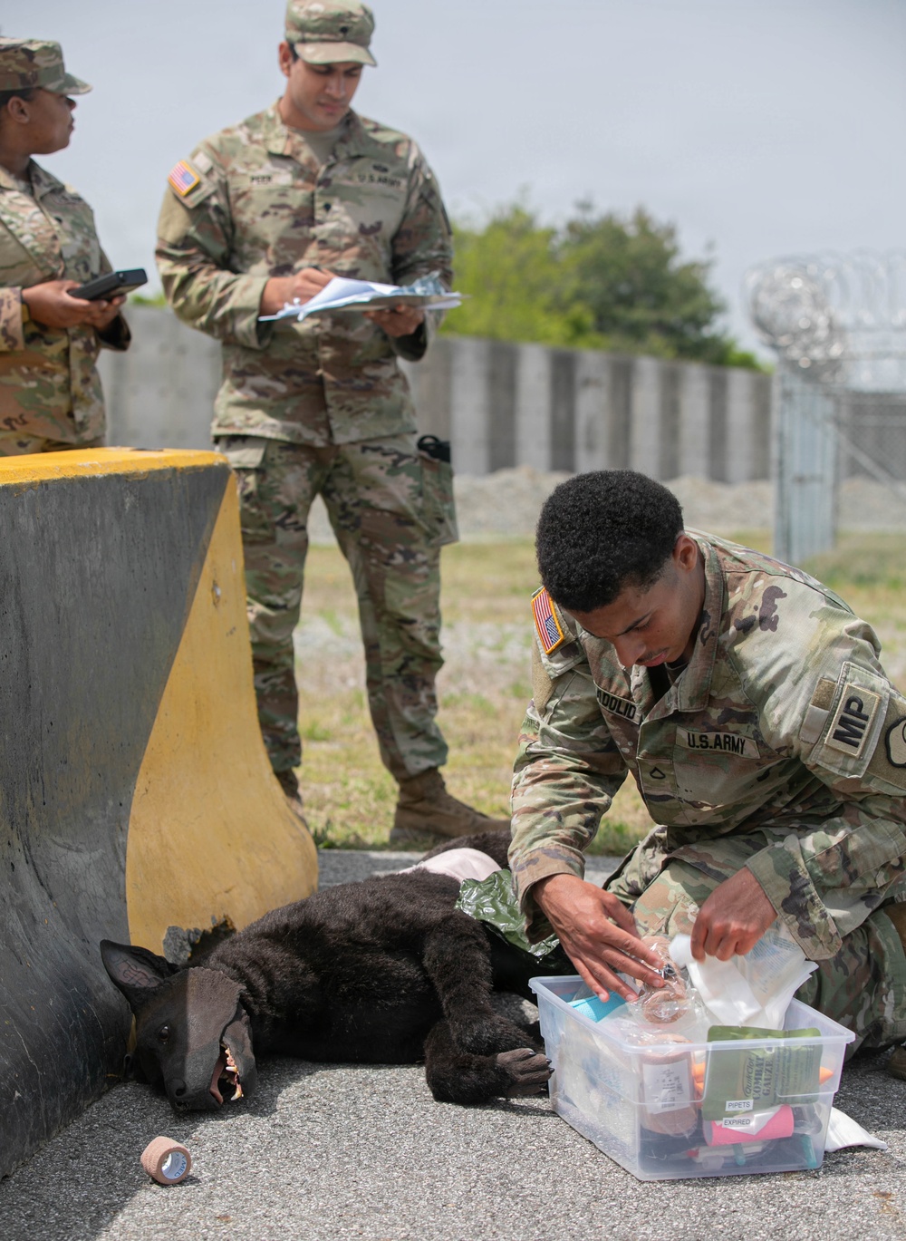 Combined Joint Military Working Dog Competition