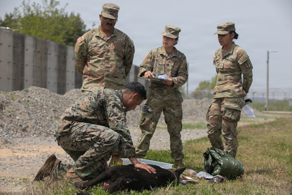 Combined Joint Military Working Dog Competition