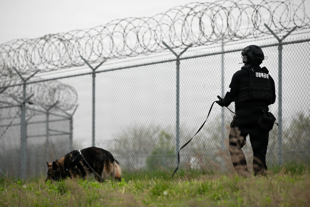 Combined Joint Military Working Dog Competition