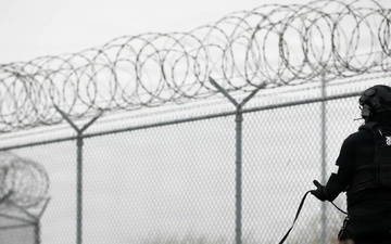 Combined Joint Military Working Dog Competition