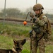 Combined Joint Military Working Dog Competition